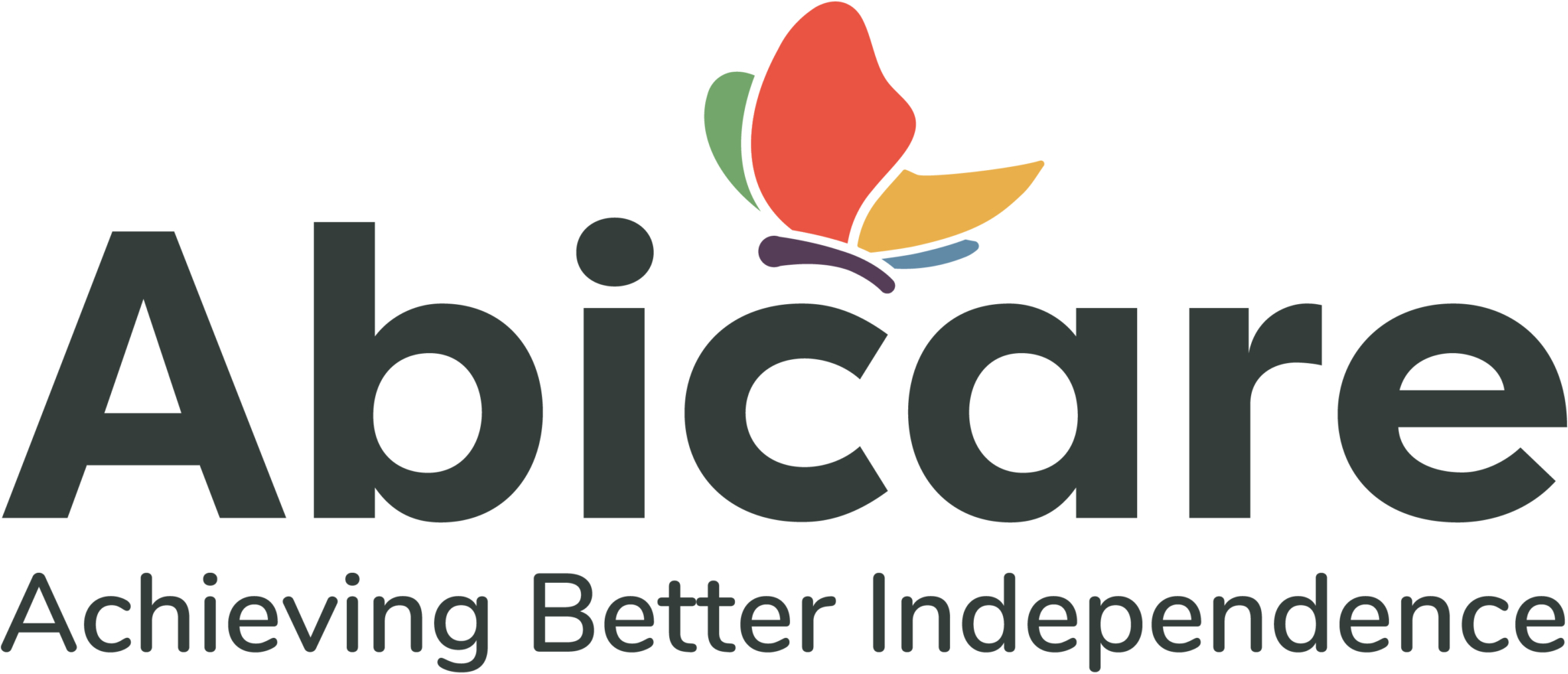 Abicare Services Ltd Logo